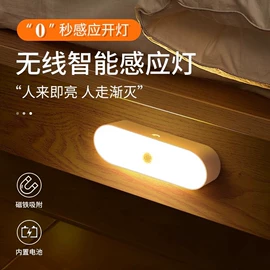 吸顶灯;风扇灯;小夜灯