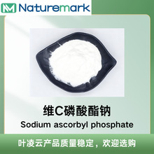 SCc L-Ѫ-2-c} Ѫc SAP