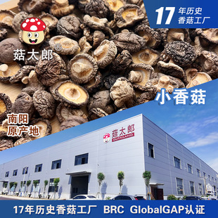 �㹽��؛����׵��1.5-2CM���湽���㹽���鹽�㹽�ɳ��ڻ��؂䰸