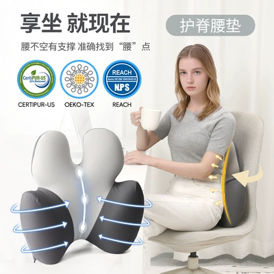 Waist support Cushion Office Long-Sitting Essential