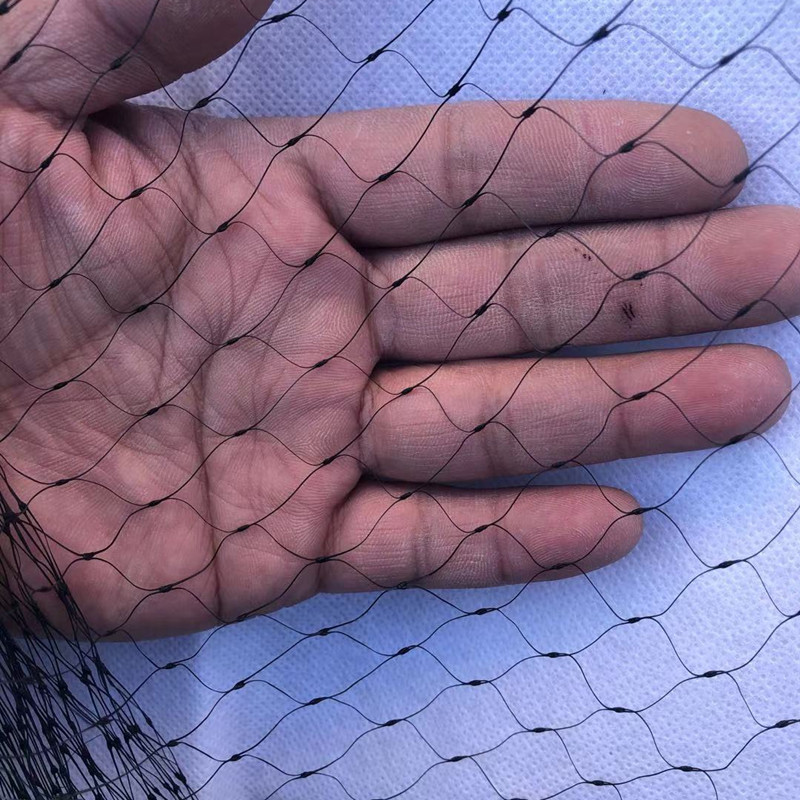 Bird Netting Image 2