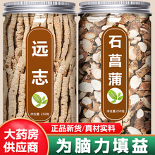 远志石菖蒲茶中药材正品旗舰店野生志远石菖蒲益智仁聪明汤的功效