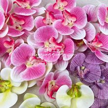 �����m���滨3D��ӡ�zƬ���^�ػ��L�η���ֶYDIY�Y�л�Y�b�