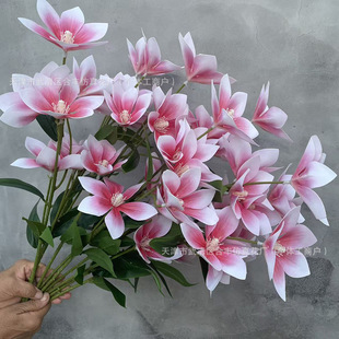�ٻ�5�^���m��c�Ƶ�͏d�����껨�Ҿ��b����컨���滨ˇ�����l