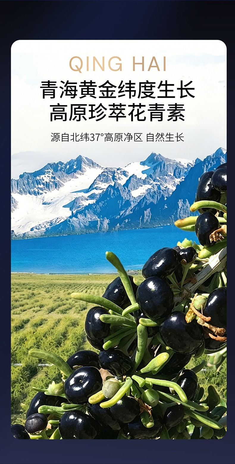Dried Black Goji Berry Gift Box 500g 5 Jars Premium Qinghai Large Fruit Wolfberry specifications