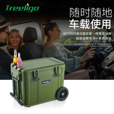 Soyuducular refrigerator 12v24v dual-use refrigerated