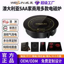 威菱火锅炉多头电磁炉嵌入式商用澳大利亚SAA气改电外贸定制批发