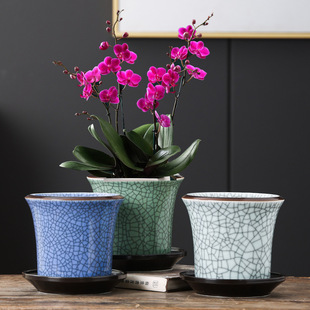 �����_Ƭ���y���Bˮ���մɻ��莧����©ˮ����ػ���Nֲ�G��