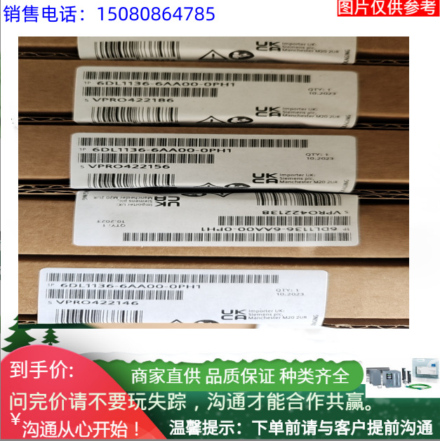 模拟输入模组6DL1136-6BA00-0PH1 6DL1131-6BL00-0PH1 ET 200SP