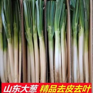 ����5�� ���r���[ ɽ�|�F�U���[ �߲� ��Ƥ���~���[ �������[�F��