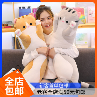 �������L�l؈������ܛ��؈������ͨë�q��ż�������С؈��≺