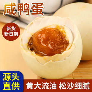 �Y���b���纣�������t��ɢ�B���ͺ���հ��b�����������̵��S