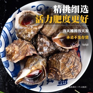 �����r���ش��r���������r��ݬF�l����ˮ�a���r������S���]