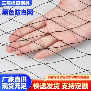 ��ɫ���B�W�������B���B�r�B�W���@���ѷ��o�W�r�Iˮ�a�Bֳ�����W