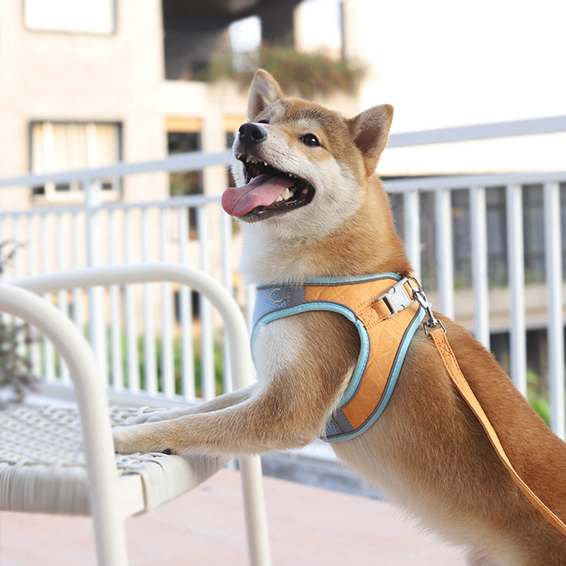 Verano transpirable PET pecho Correa nueva Suede perro Correa perro reflectante perro caminar cuerda traje