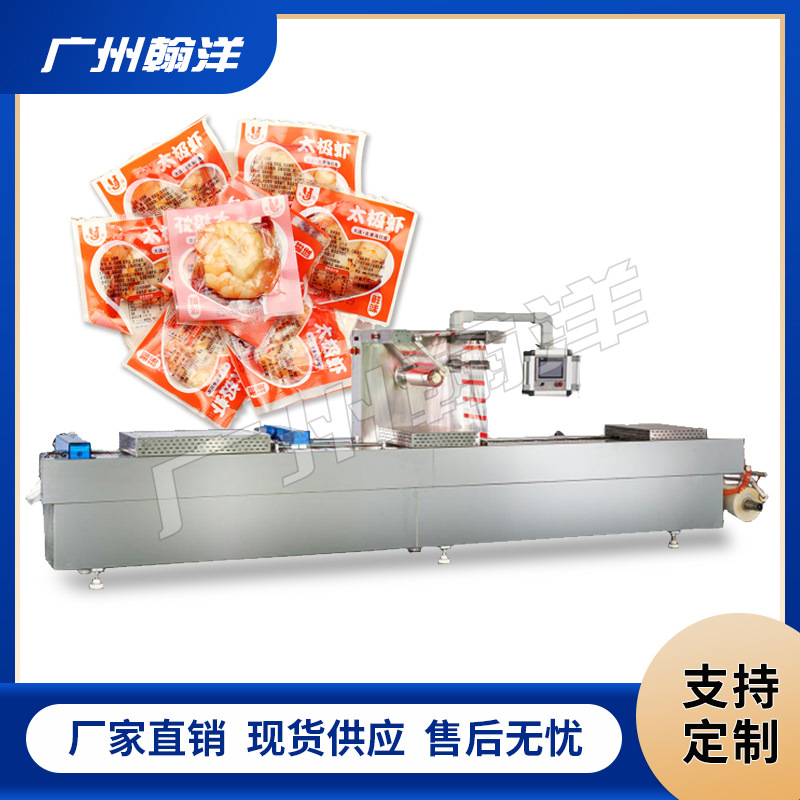 广州翰洋  生蚝拉伸膜真空包装机 海虾真空包装机 真空包装设备