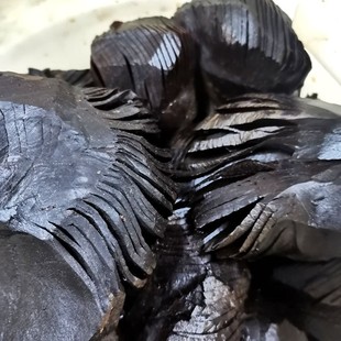 녘�ɢ�b�Q���ݲ�/�u��/�̲�õ���Lζ���^��ե���ݲ˿�����20��