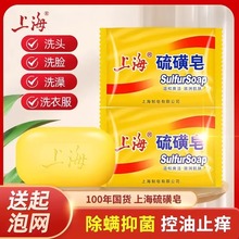 �Ϻ�������������S������ȥ���\�xĘ������坍����Ůϴ����ԡ