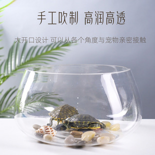 Fish Tank Glass Round Desk Green Radish Hydroponic Home Fish Creative Transparent Small Mini Desktop Turtle