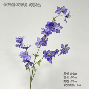 ��YΨ����ʽ�L֦���z���� ���潁������ ���Ļ��p�ݿ�ʽ�W���L