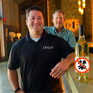 �Ϻ��t�ƴ����� ��������С֧���ѾƶY�����l 187ml ԭƿ�M�ڸɼt