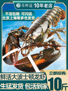 ����������r�r���ش�����ʿ�D���r���ô���ފW���r��؛�Y��