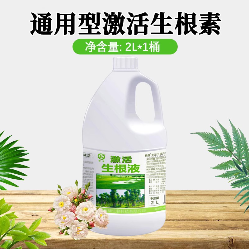 [핫스타일] 발근액 2L*1통