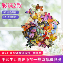 �ӹ����Ʒ��滨��С�ʵ���c���ĵ���·�Ż��Ҿ��b�Ԓ���ܺ���