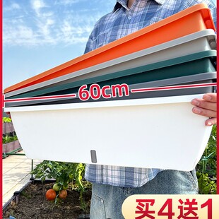 �L���λ����ݮ�Nֲ�������̨�N��������L�l�N���N�ˌ�������}