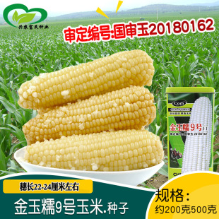 ����Ŵ9̖��Ŵ���׷N�� �r���������U�֌�����ճ������