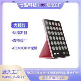 跨境大排灯美容仪全身脸部家用红蓝光通用美容仪