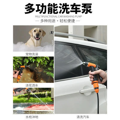 Portable car washer 12V Household High-Pressure Water Pump