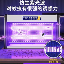 灭蚊灯神器灭蝇灯2024新款室内家用餐厅饭店商铺挂墙苍蝇捕捉蚊子