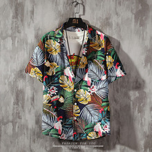 �ļ����r��ɳ��͸�⌒�ɸ��L���껨ɫ�r��TZ001-1-P25