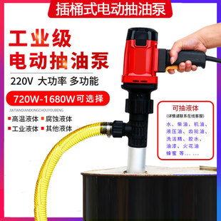 Electric Oil Pump Straight Portable Small Stainless Steel Diesel Barrel 220V High Power Anti-Corrosion Oil Pump