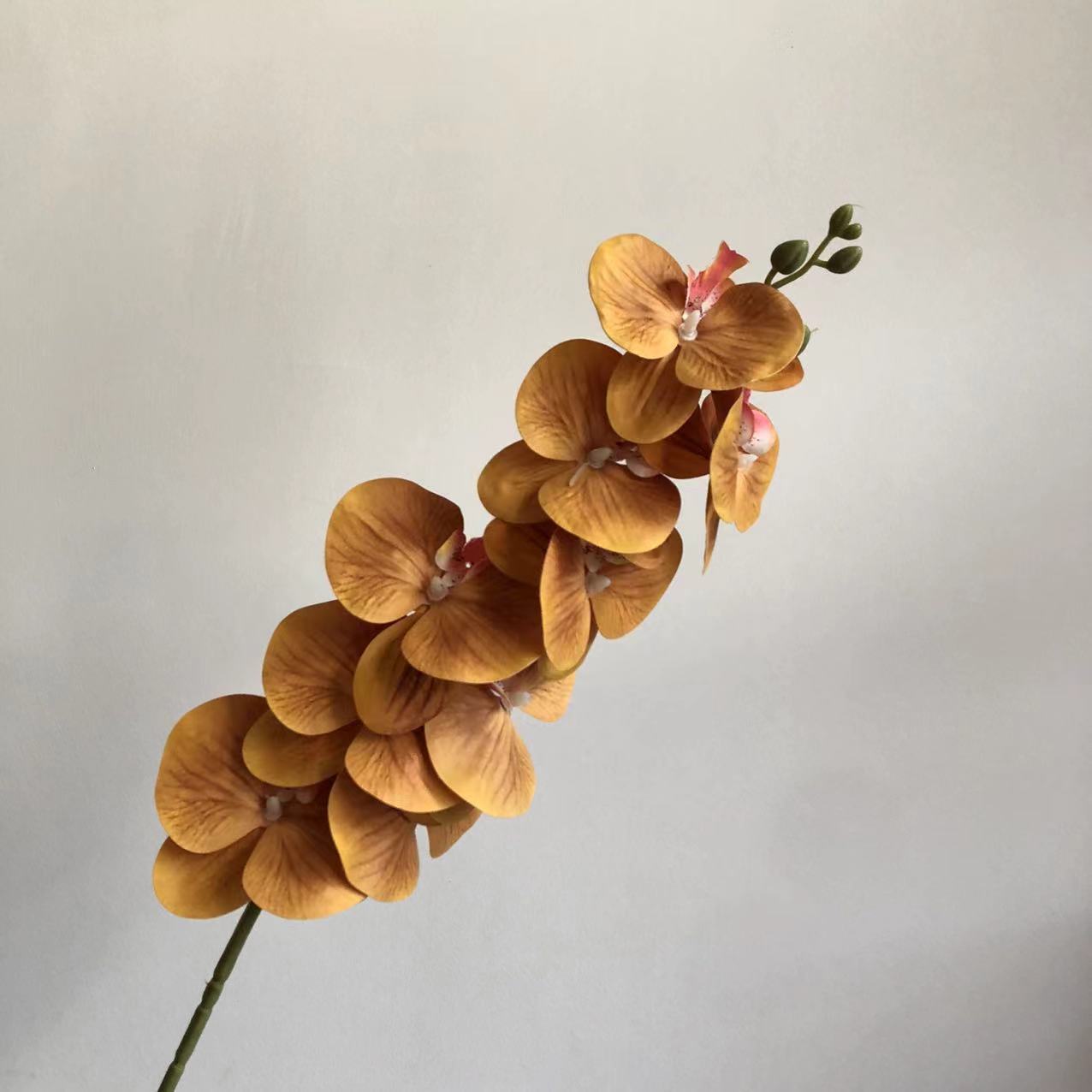커피색