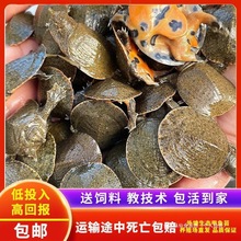 С���~����w�����Bֳ���~�F�~ˮ�~���������A�M������Bֳ��ֱ�l