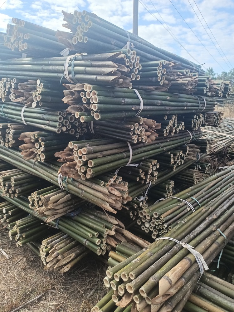 微信图片_20220804172902