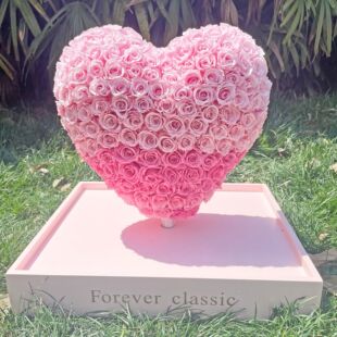 ���������΁����� ��Ϧ�������˹��Y����Ů��õ�廨���΁�������