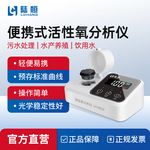 陆恒便携式活性氧快速检测仪LH-R01F废污水医院饮用水质分析试剂