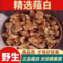 ޯ�ןoޯ��ˊ��Ұ����^С�������С����С������؛��؛