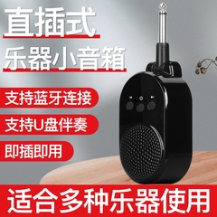 Electric blowpipe music amplifier, direct-plug mini speaker—specialized audio system for electric guitar and bass, featuring Bluetooth and USB playback for stage performances.