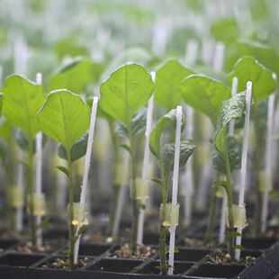 �����߲˹����ɫ�޽ӊA�����S������Ó�䏗�Ժù��z�޽ӊA