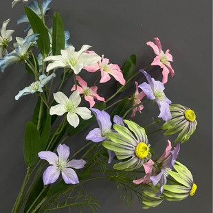 Ī�λ��@�LӢ���F��ɏ�Wʽ��@�����[�O·���������߻���ٺ�Ұ��