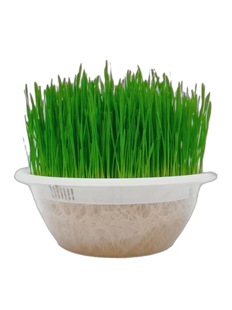 �A��͸��ˮ������P�N����o���̨ѿ��˰lѿ�����㶹�綹ѿֲ��