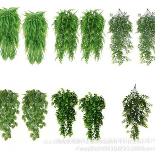 ���R�d�羳����ڒ�Gֲ��˹�ݠ��ڑҒ��bٻ���������ֲ��