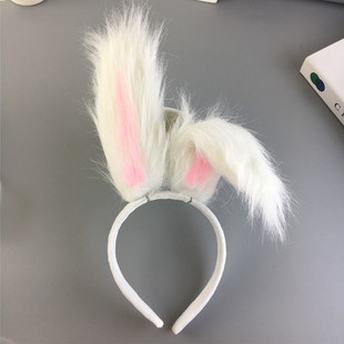 �ɐ���Ƥë�q�L�ö���l��2021�ﶬ�¿�����u�Ȱl�����nϴĘ�^��