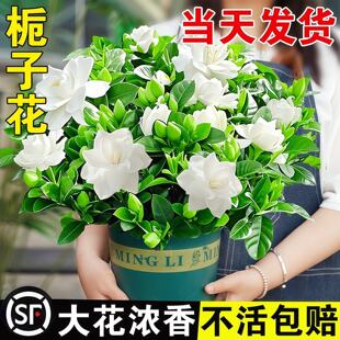 �d�ӻ����������ļ��_���Gֲ���ܘ����k���҃��m�ϑ��˺��Bֲ��