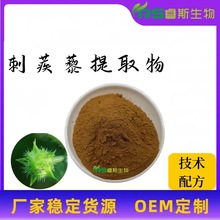 现货 刺蒺藜提取物10:1 /30:1水溶性植提原料粉末 刺蒺藜粉厂家