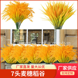 ����7�^������ߺ������ϵ����Sˮ�� ��ɫֲ�ﵾ��������뻨��